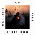 Indie Dog – Baptism of Fire