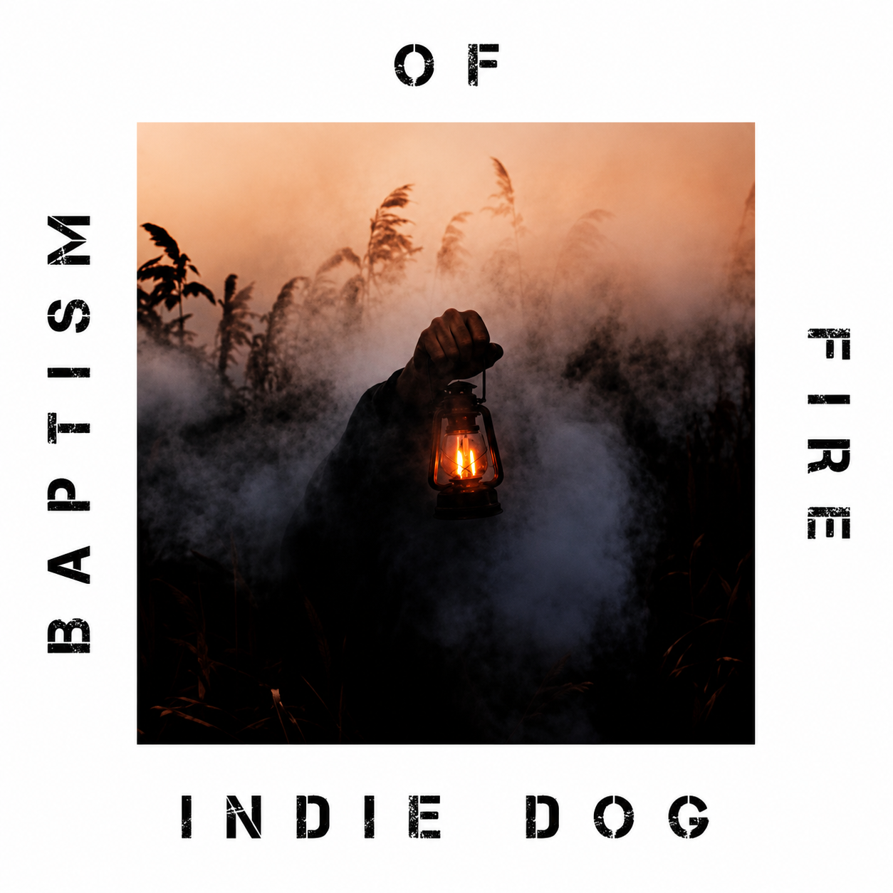 Indie Dog – Baptism of Fire